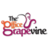 The Office Grapevine