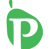 The Paro Consulting Group