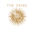 The Tribe