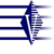 The Vanguard Commercial Group