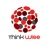 Thinkwise Consulting LLP