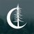Timber Dark Design