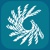 Tolbert CPA LLC