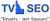 Treasure Valley SEO, LLC