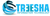 TREESHA INFOTECH