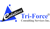 Tri-Force Consulting Services
