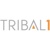 Tribal One LLC
