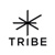 Tribe Communication Srl