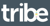 Tribe Group