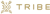 Tribe Interactive, LLC