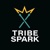 Tribe Spark Media