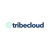 TRIBECLOUD LLC