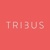 Tribus Digital