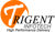 Trigent Infotech Pvt. Ltd.