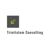 Trinitatem Consulting