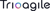 Trioagile Technologies