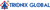 Trionix Global