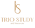 Triostudy Consultants