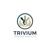 Trivium Writing Services
