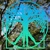 Tropical Environmental Consultants. LLC