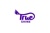 TRUE SHINE TECHNICAL SERVICES L.L.C