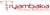 Tryambaka Techno Solutions
