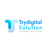 Trydigital Solution LLP