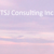 TSJ Consulting Inc.