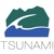 Tsunami Solutions Ltd.