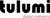Tulumi Digital Marketing