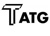 Turner Accounting & Technology Group