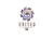 United Oak Consulting