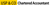 USP & Co