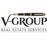 V-Group, LLC