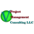V-Project Management Consulting LLC