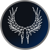 Valkyrie Intelligence