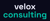 Velox Consulting