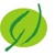Verdant Zeal