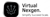 Virtual Nexgen Solutions