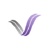 Virtual Ventures Corp.