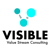 Visible Flow Consulting