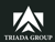 Visión Triada Group