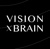 Vision X Brain
