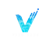 Viso Labs