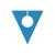 Vital Information Technology