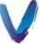 Vivid Chartered Accountants