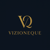 Vizioneque Technology