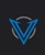Vodigy Networks