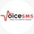 Voice SMS