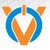 Voyager Technology Solutions